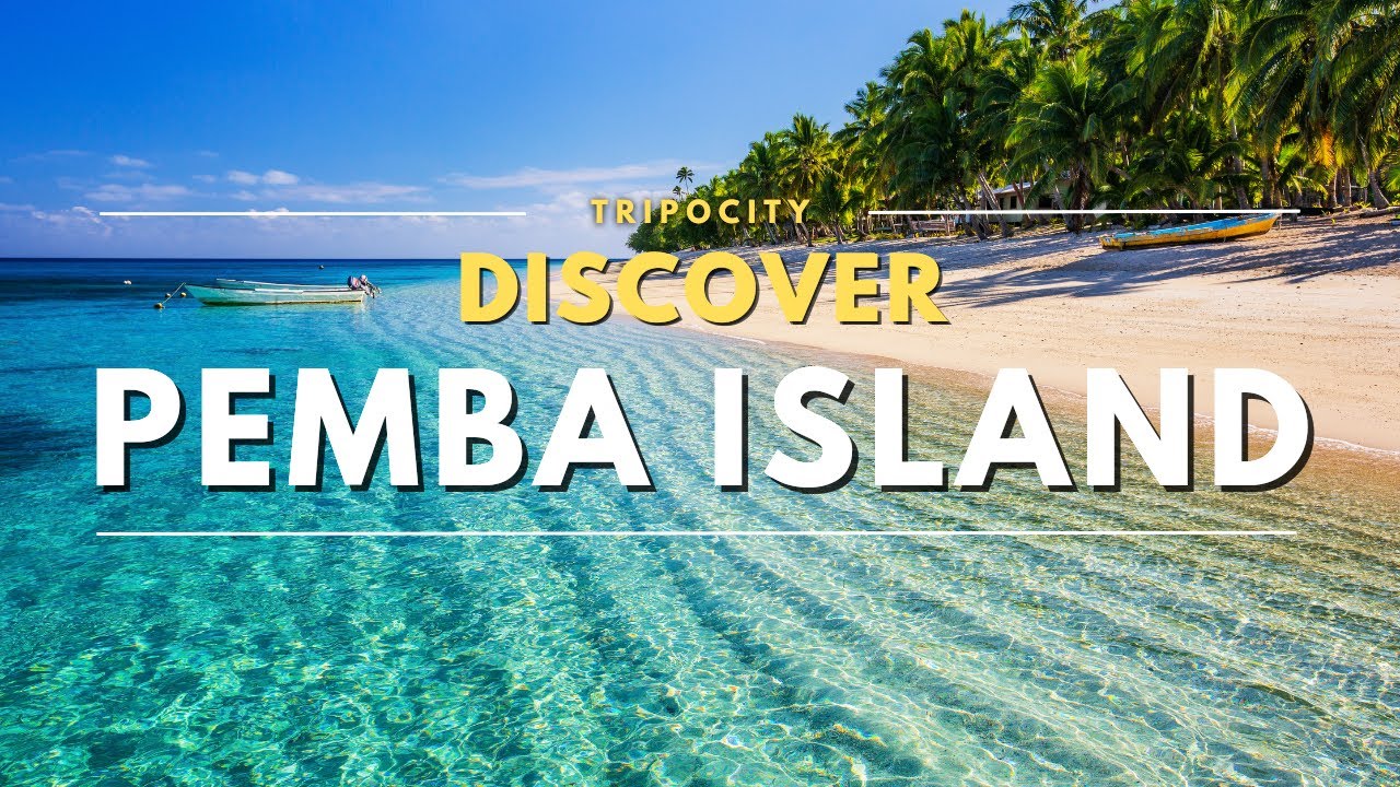 Pemba Island Tanzania Best Beaches Diving Spots and Lush Landscapes