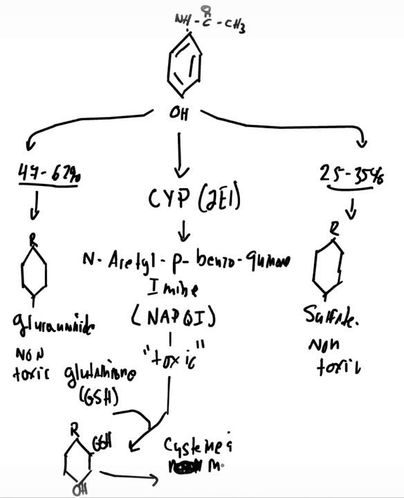 Acetaminophen Toxicity