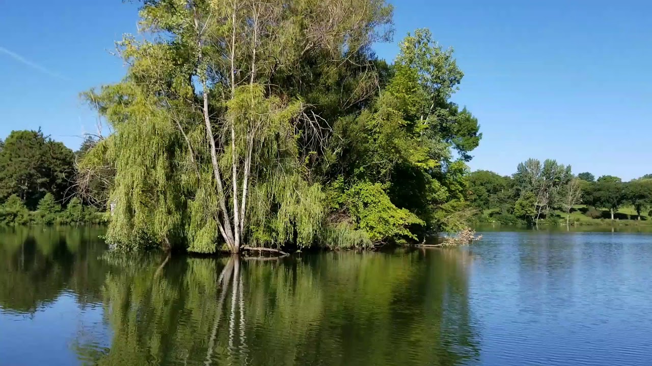 Powderhorn Park, Minneapolis/ Mental Break