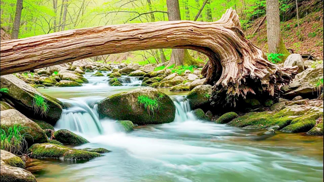 Flowing River Sound for Deep Sleep | Calm Nature Noise for Wellness and Sleep Aid