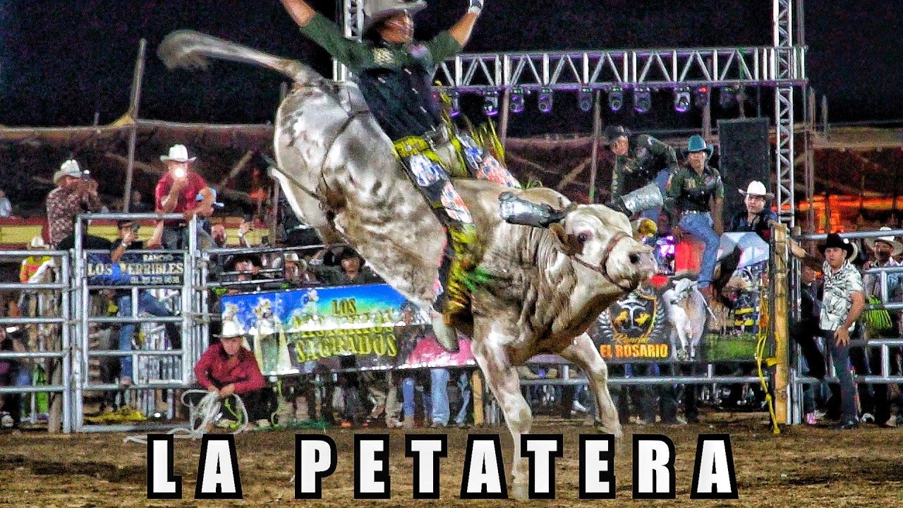 ¡UNA SELECCION DE JINETES PARA UNA SELECCION DE TOROS! ASI SE VIVIO EL JARIPEO EN LA PETATERA 2026