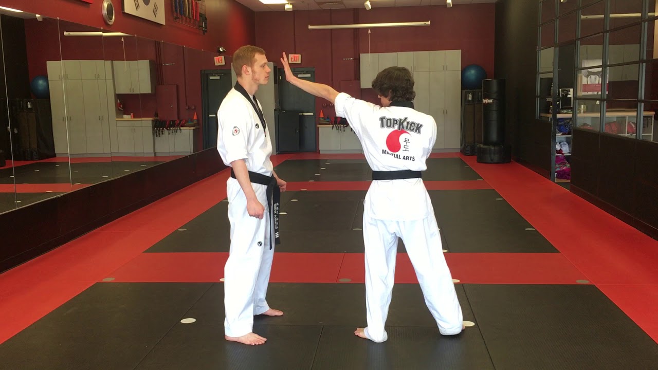 Beginner   Self Defense Form