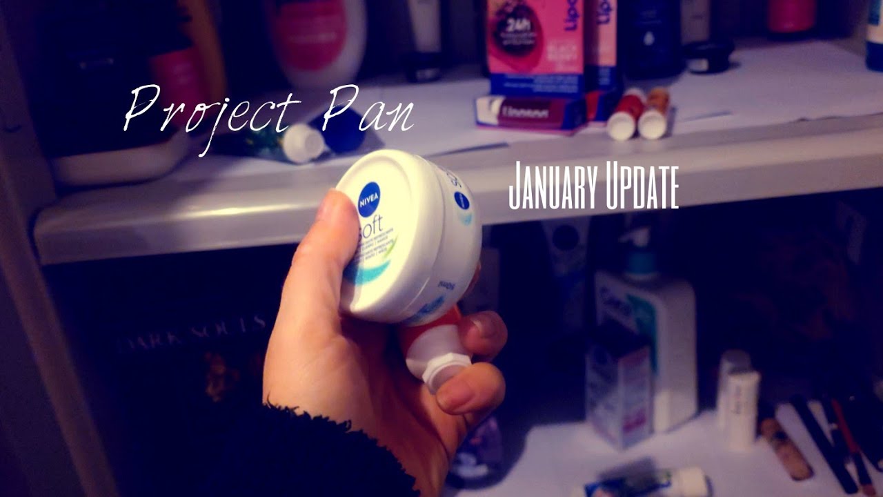 Project Pan Update #4 | January Progress & 23 Empties
