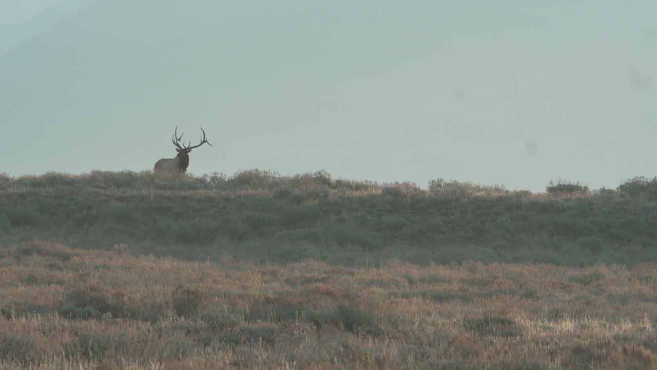 Public comment opens for Game and Fish 2026 hunt season proposals