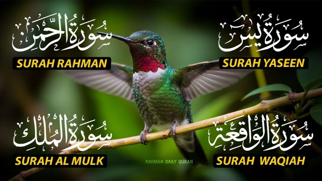 Magical Recitation Surah Yaseen (Yasin) | Surah Rahman | Surah Waqiah | Surah Mulk