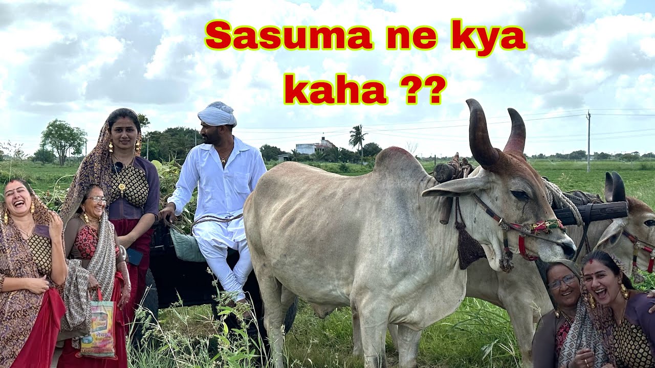 Ajj traditional dress me bailgadi me kaha ja rahe hai hum sab log