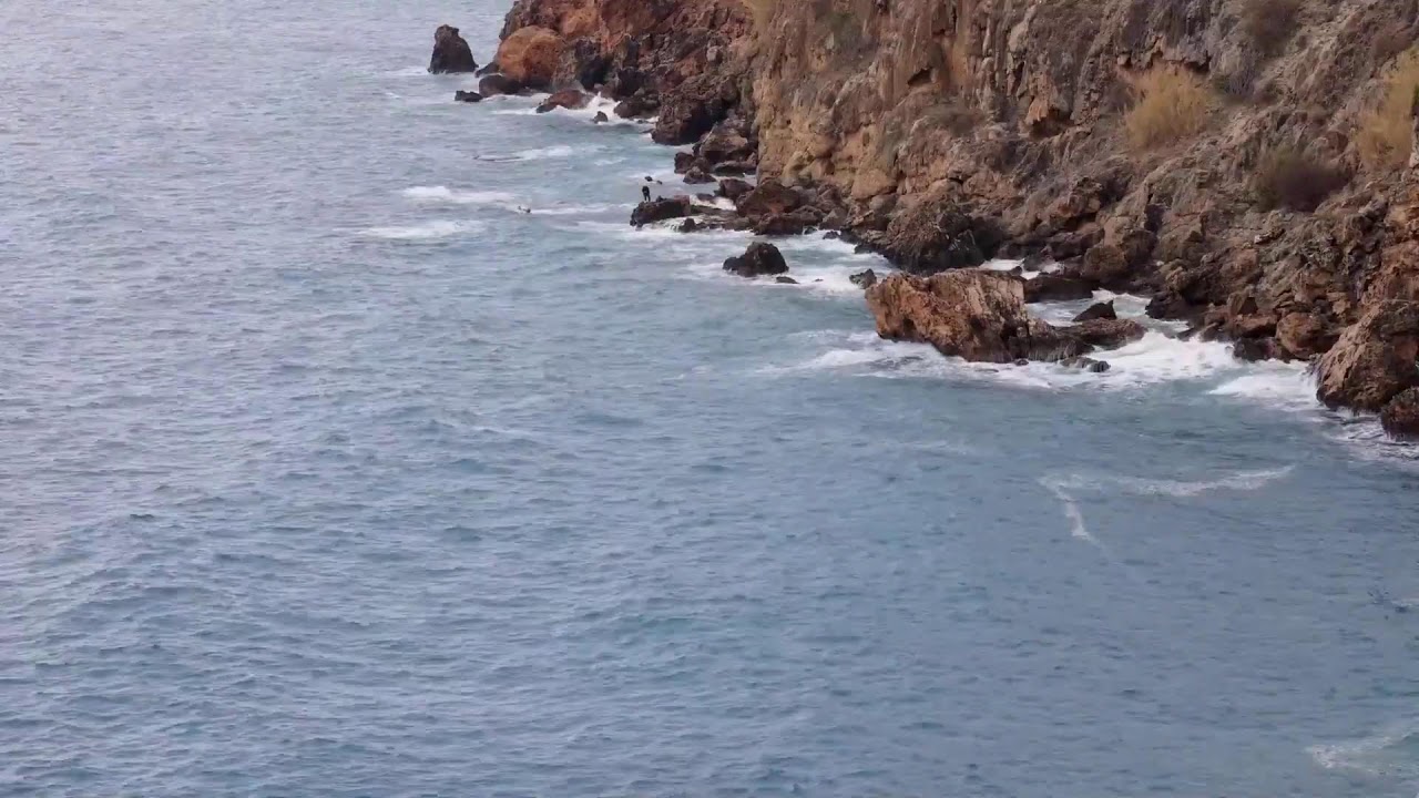 Relaxing Nature Live