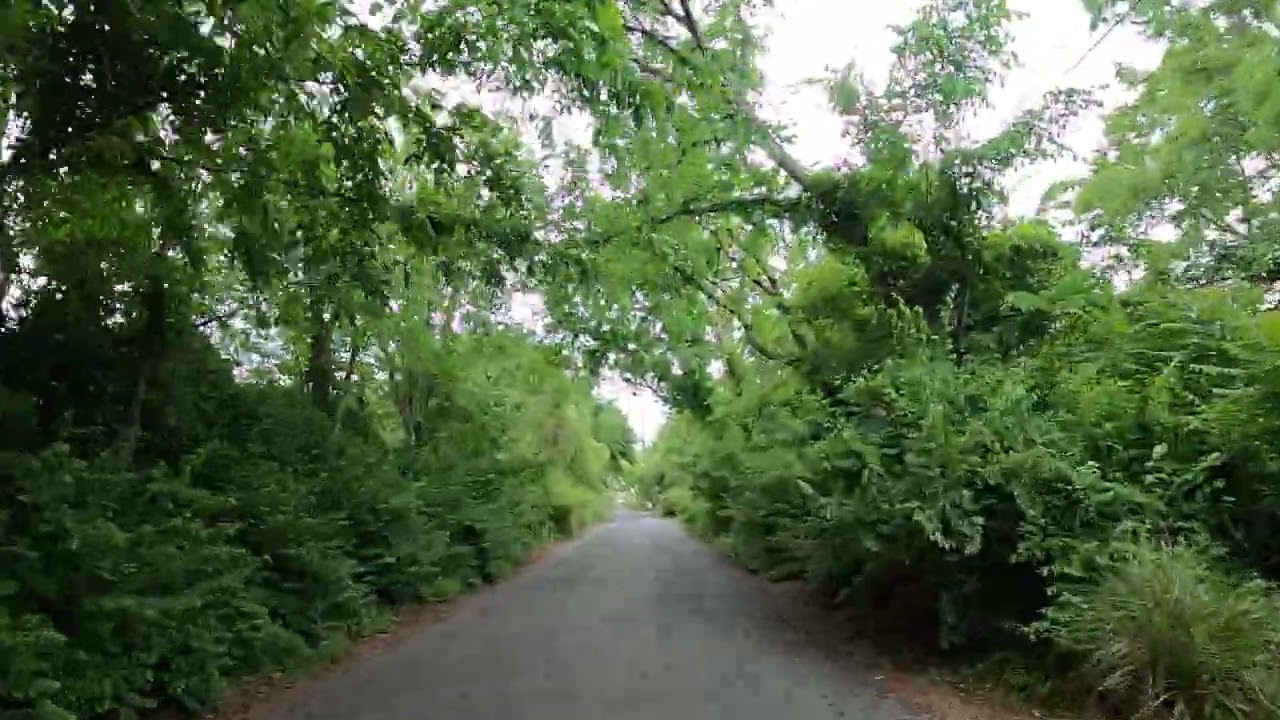 Bike Ride: Anacostia to Riverdale: 1 of 6.
