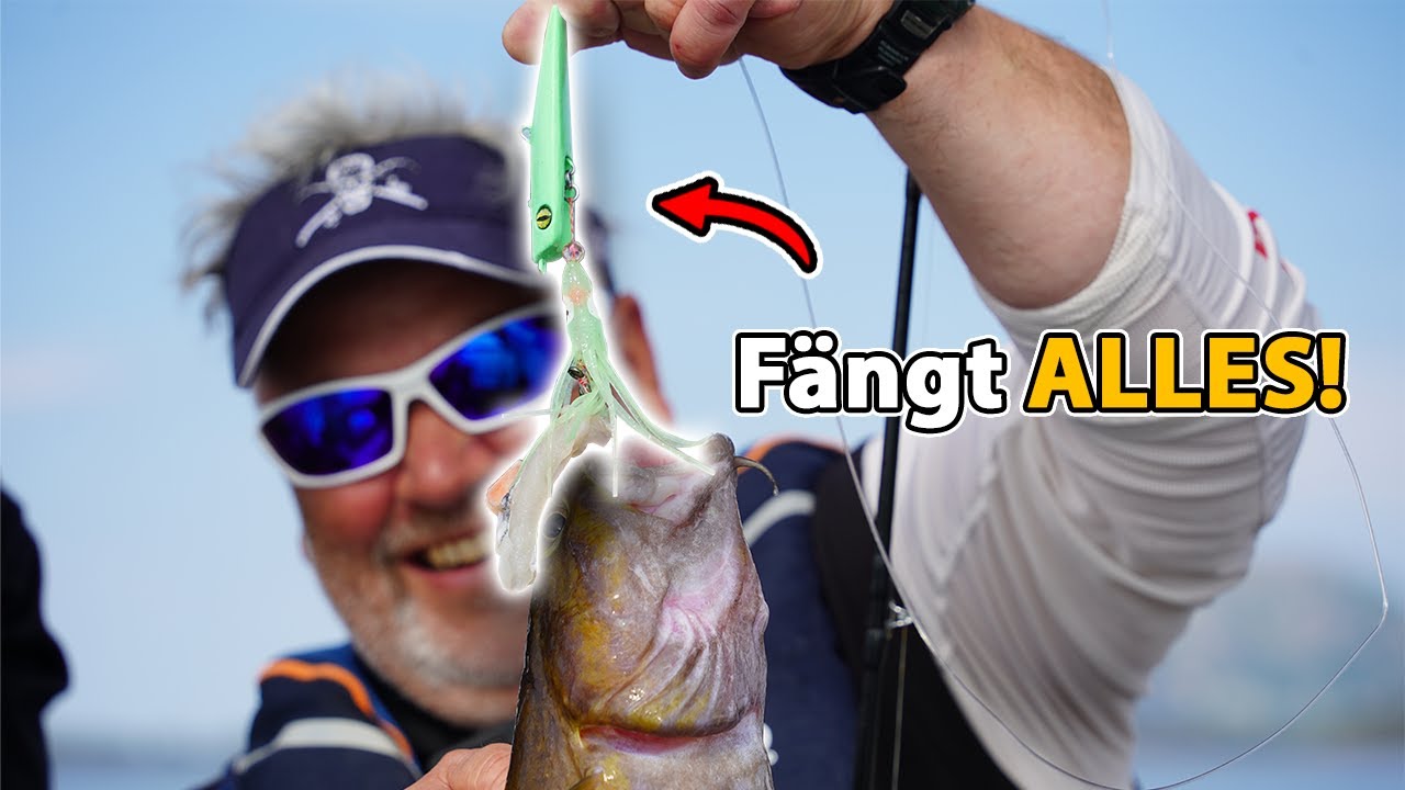 Nur EIN Köder für Norwegen?! 🎣