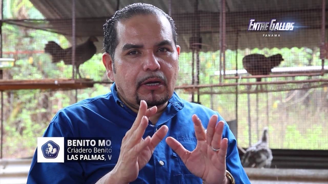 Gallos Benito Mojica