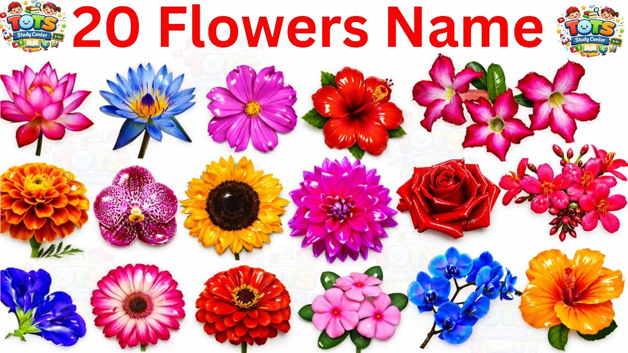 Colours Name|colours Names with Pictures and video in hindi and english|Preschool Learning Video