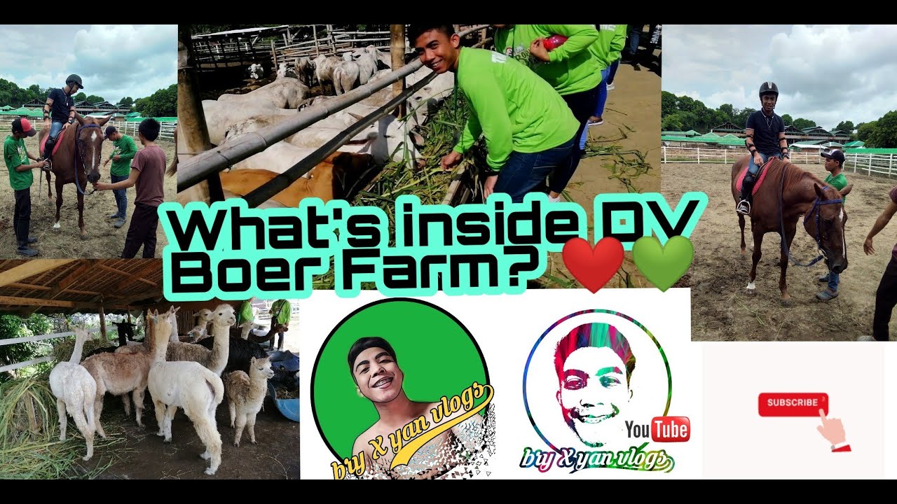 WHAT'S INSIDE DV BOER FARM - A TRAINEES FARM TOUR