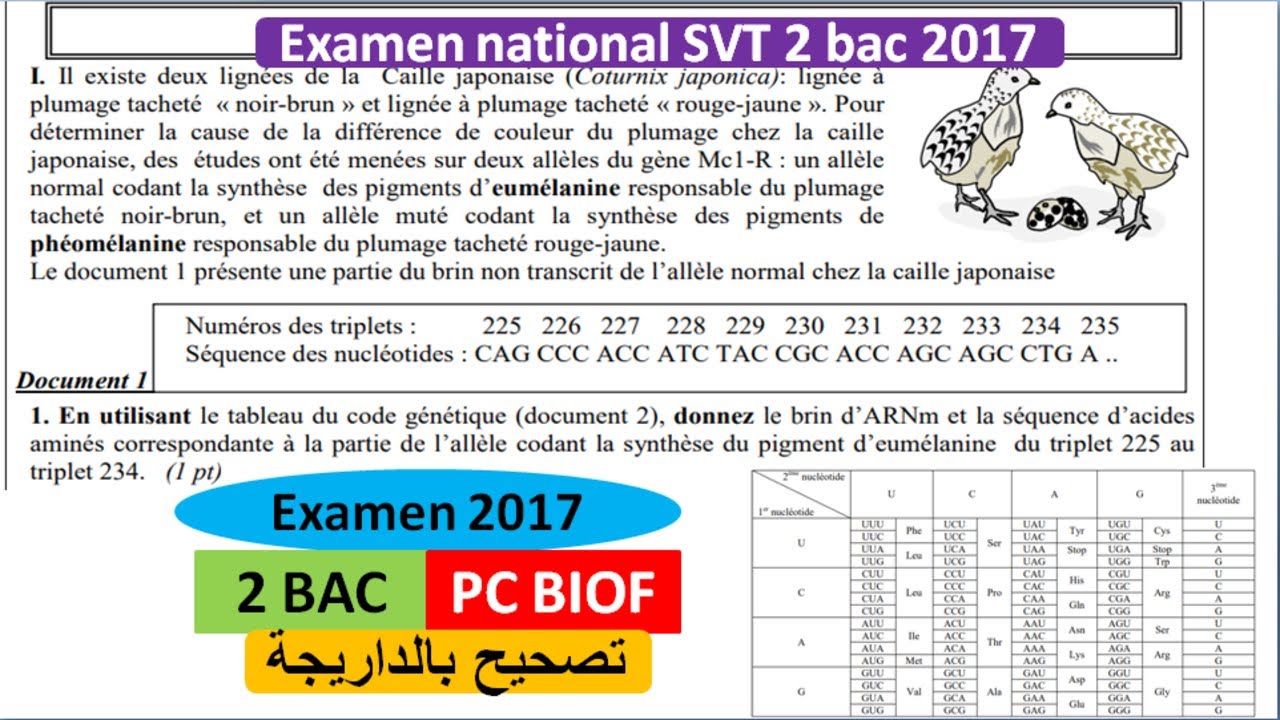 Examen national 2017 SVT 2 BAC PC OPTION FRANCAIS (شرح بالداريجة)