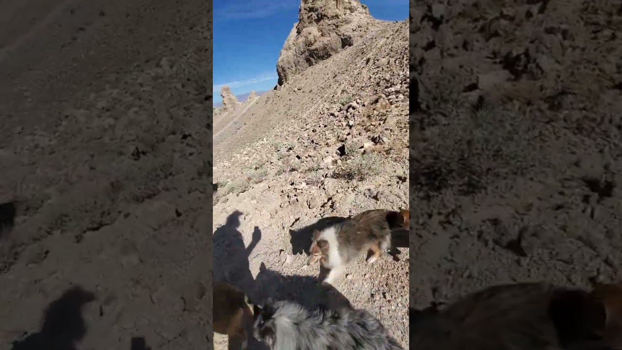 West Side of Trona Pinnacles Part 2