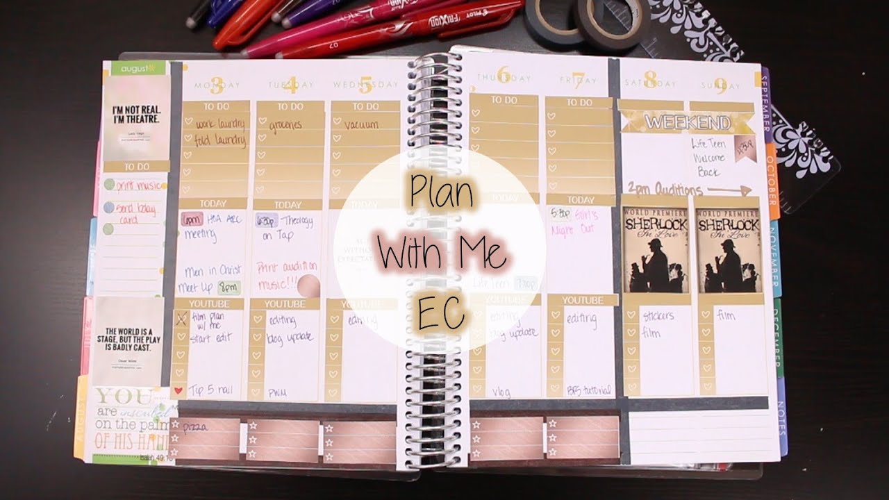 Plan With Me | Aug 3-9, 2015 (Erin Condren Vertical)