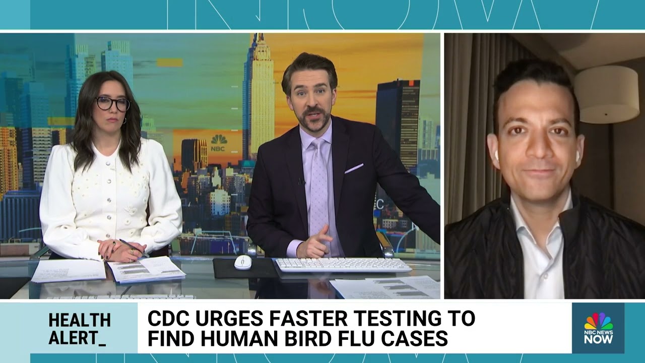 CDC Emphasizes Rapid Testing for Influenza A to find Bird Flu Cases