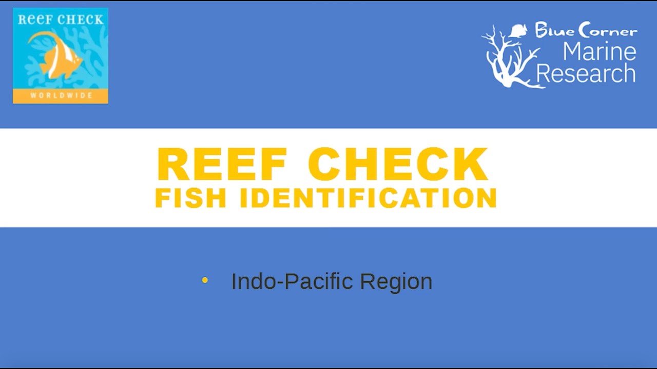 Reef Check Fish Identification - IndoPacific Region