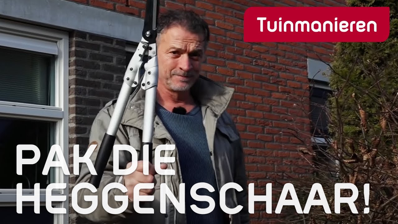 Wat doe je in februari in de tuin? 2022 | Februari | Tuinmanieren