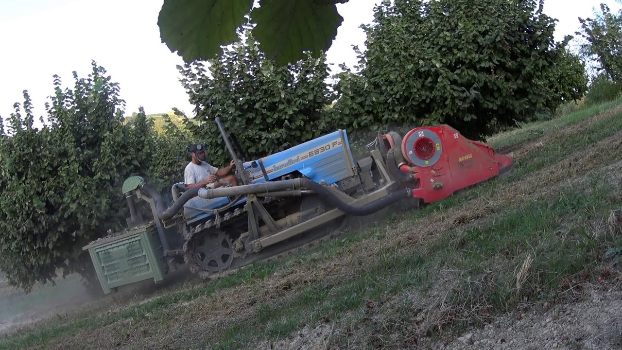 attaccare la raccoglitrice per nocciole sul cingolo, puntata 7. Collaudo e raccolta