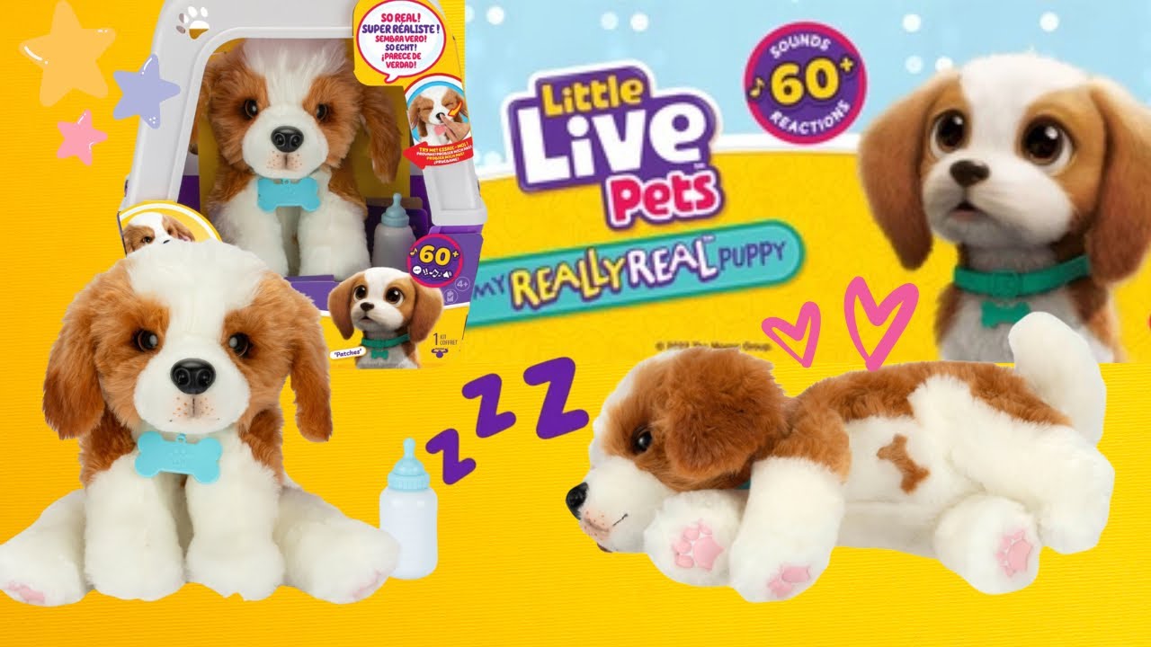 Little Live Pets My Really Real Puppy Patches Unboxing & Playthrough