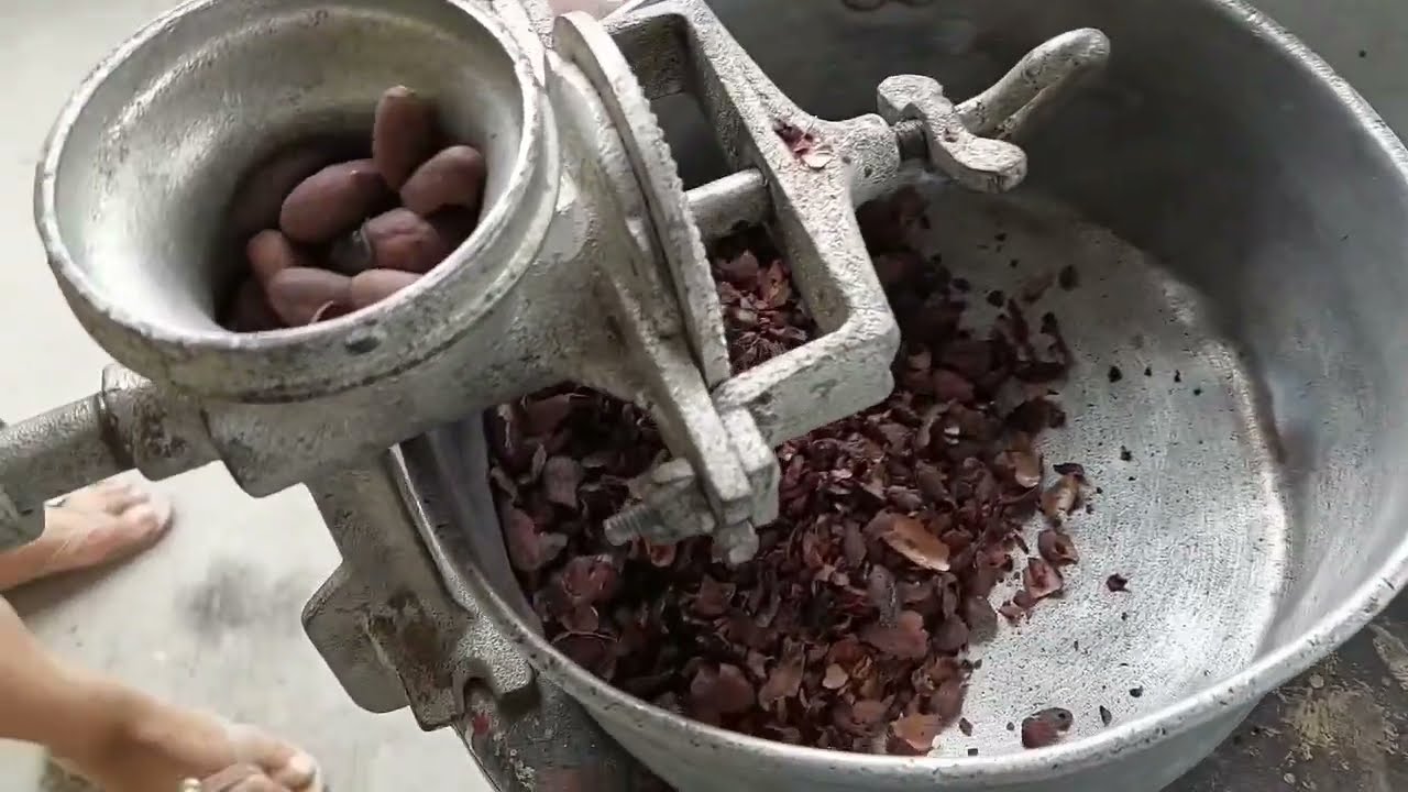 MAQUINA LIMPIADORA DE cascara de pepas de CACAO SECO PARA CHOCOLATE. #chocolate #cacao #viral