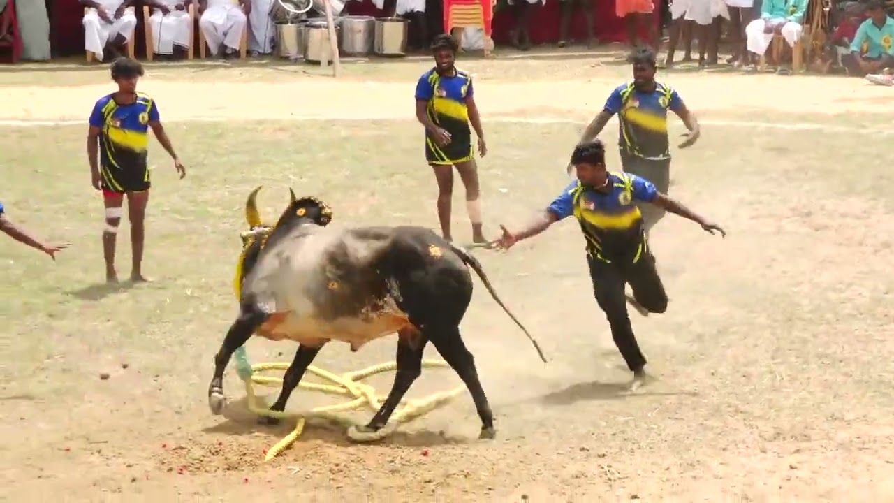 கருப்பாயூரணி அய்யம்பாண்டி பாண்டிச்சாமி குழு👿💯💪🏻
