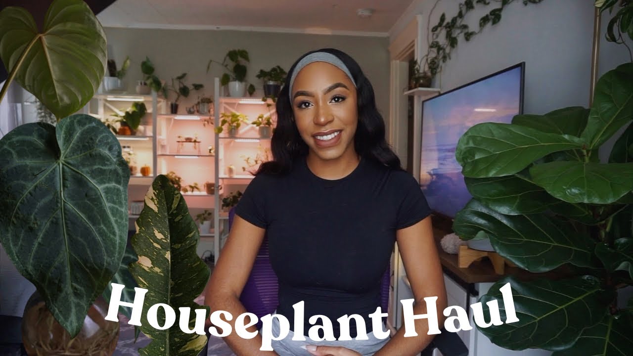 Houseplant HAUL | I Got New Plants 🌱 Home Depot & Briggs Nursery
