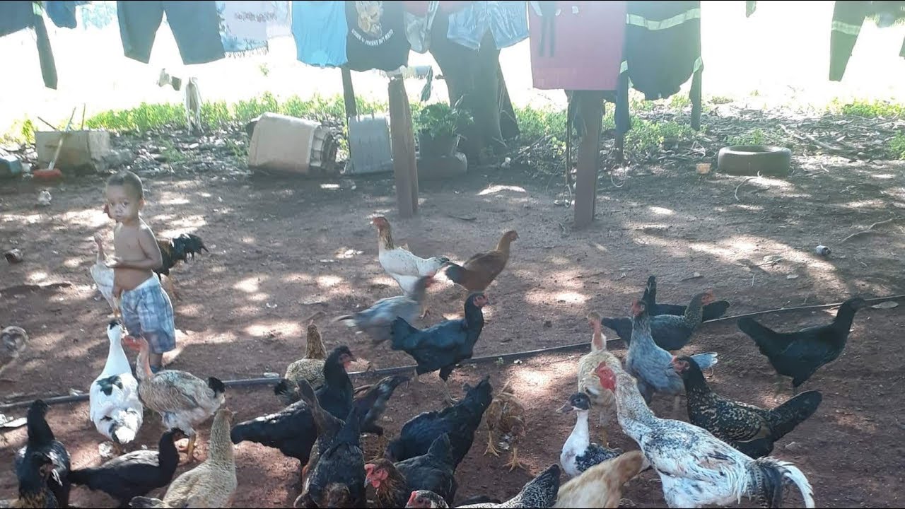 Rotina da Manh&atilde; na Ro&ccedil;a