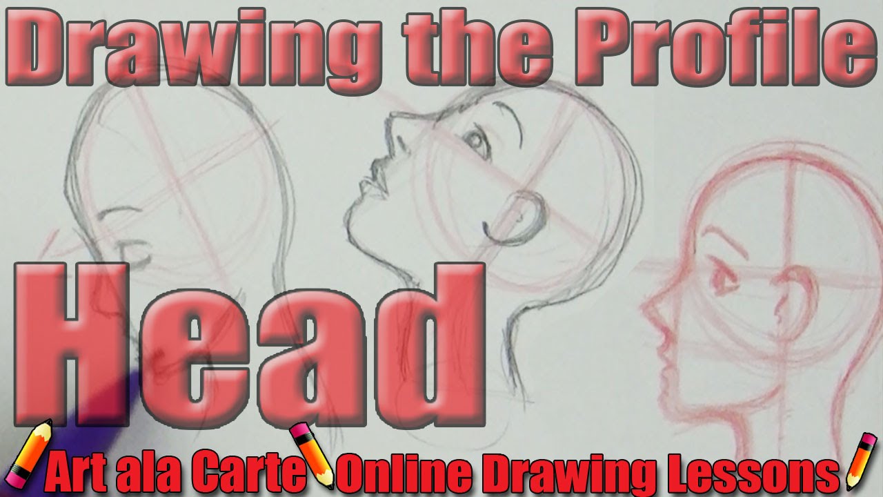 Drawing the Profile head