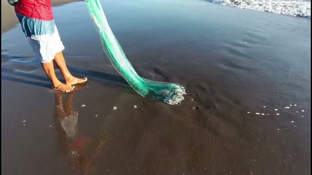 Aquí andamos en la rebusca de la pesca amigos