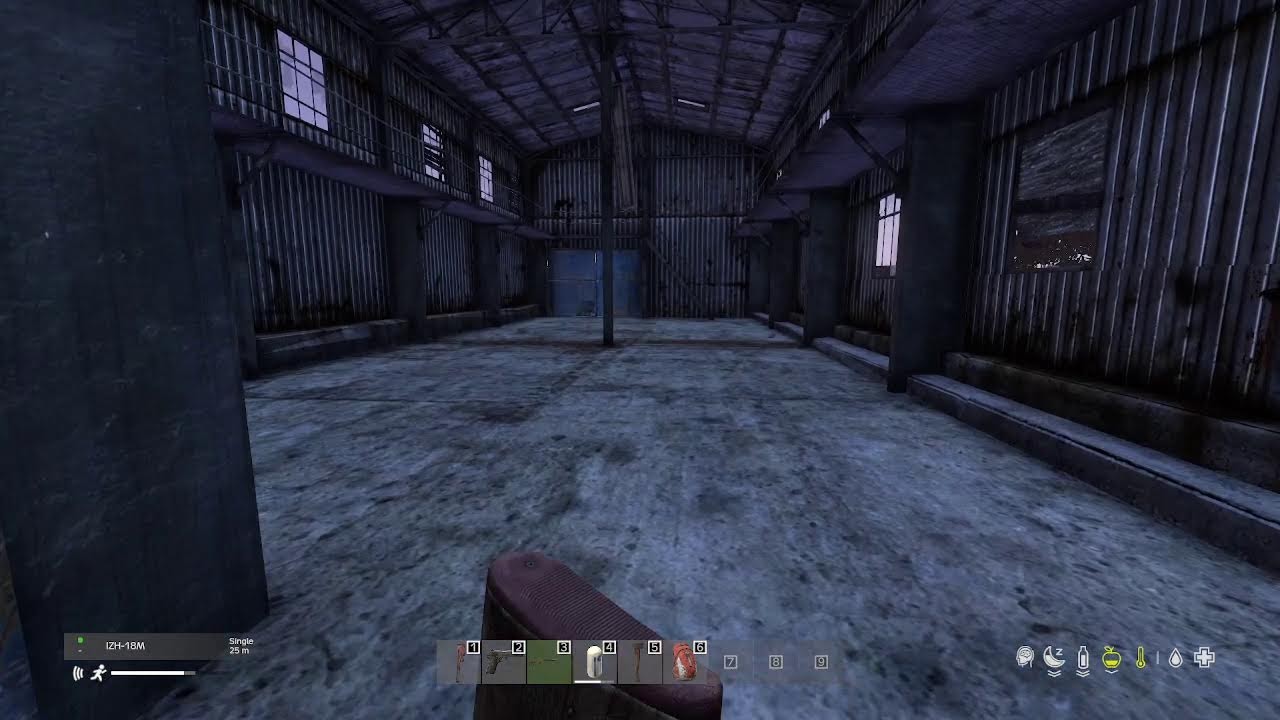 DayZ's MOST HARDCORe Server