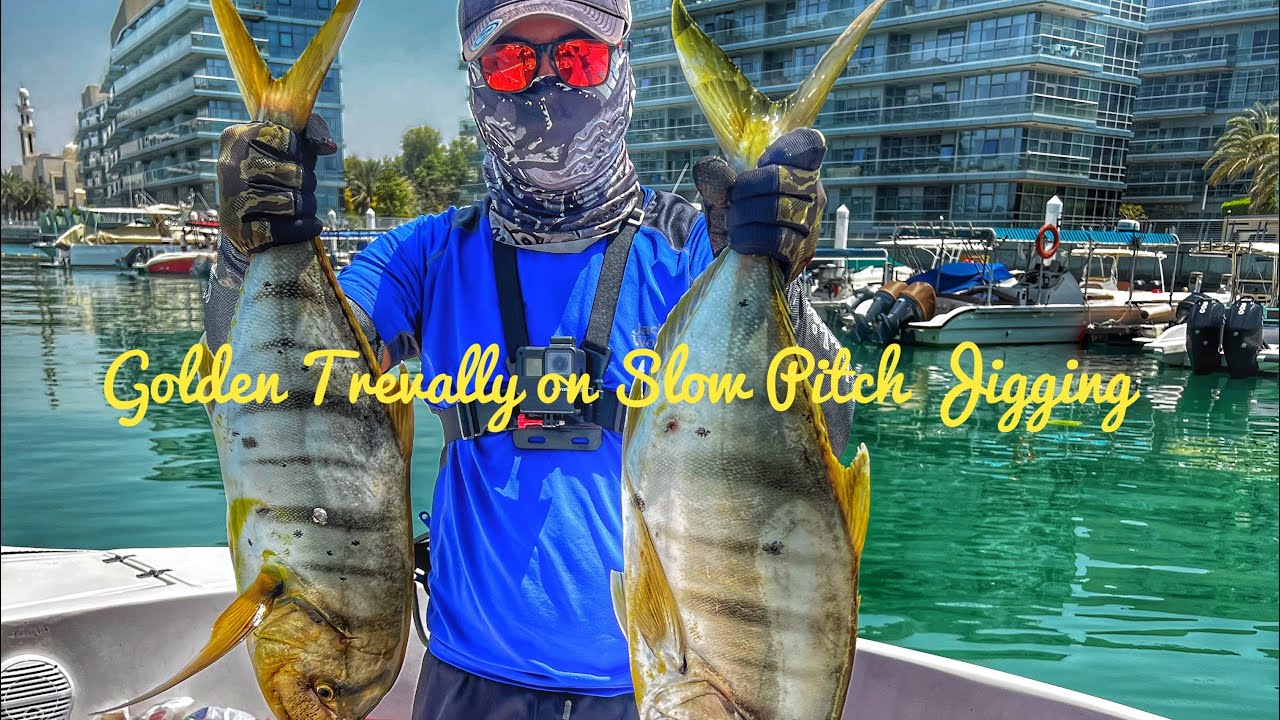 The Episodes | Catching Golden Trevally “GT” on Slow Pitch Jigging