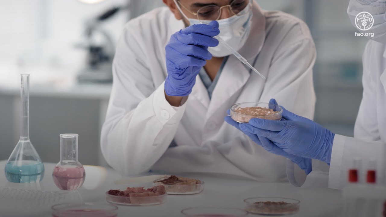 The safety of food products from precision fermentation