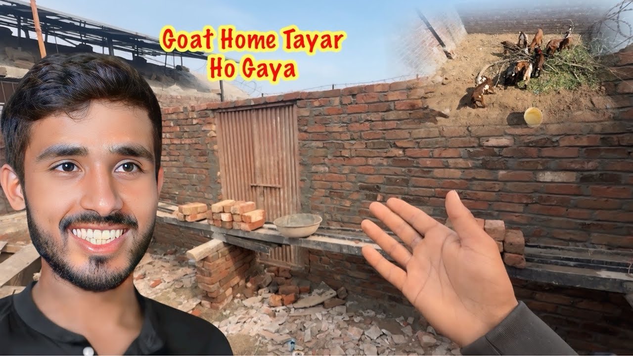 Bakriyon Ka New Ghar Tayar Ho Gaya 😍 