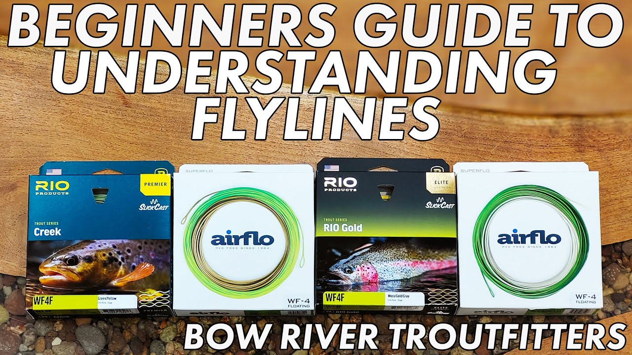 Beginner's guide to understanding Fly Lines