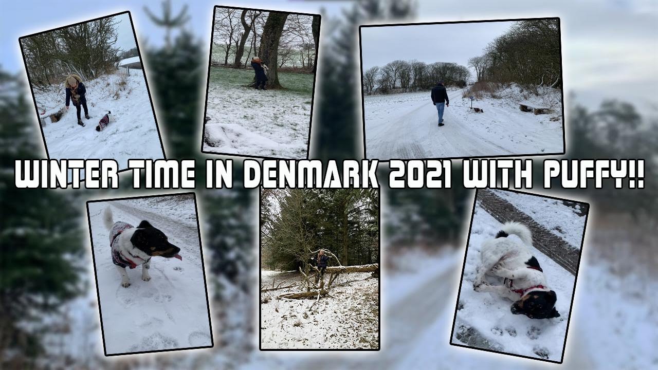 Winter time in Denmark 2021 with Puffy...