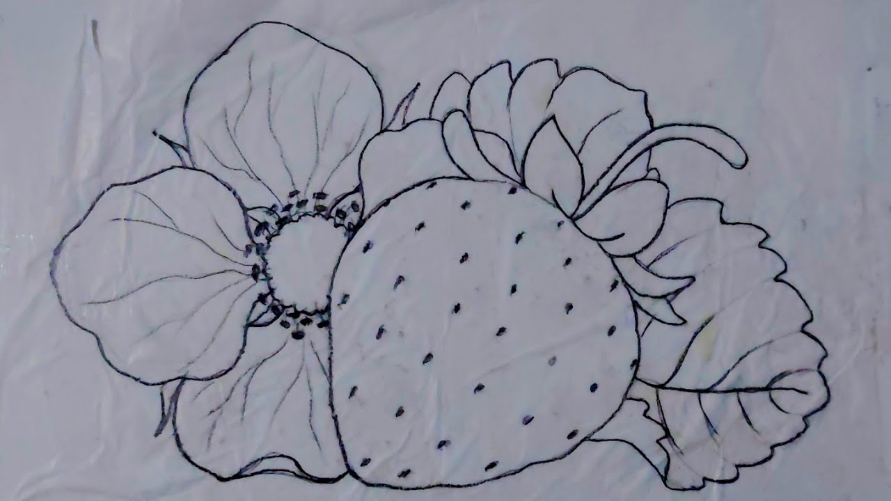 DESENHANDO MORANGO 