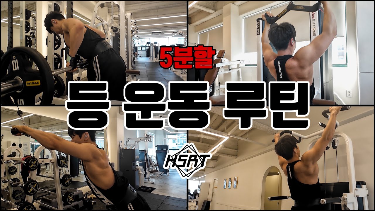 5분할 등 운동 루틴, 이왕 할거면 제대로 털어주자, 확실하고 효율적으로