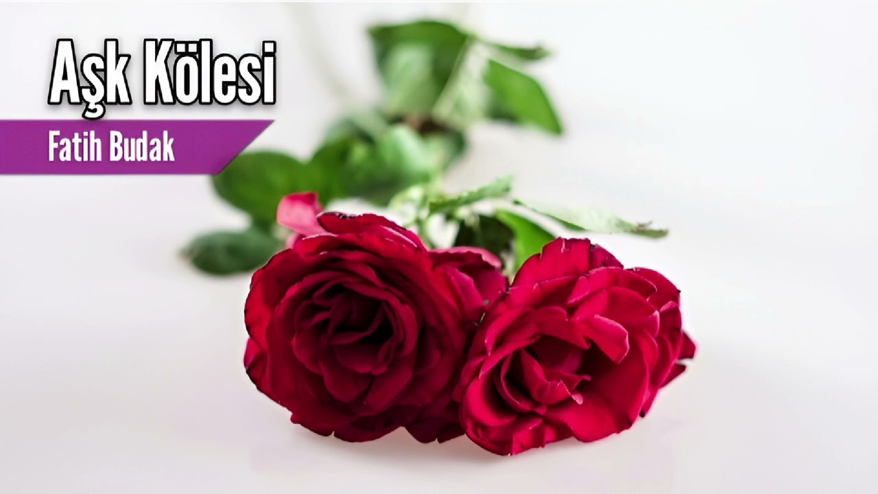Aşk Kölesi -Fatih Budak