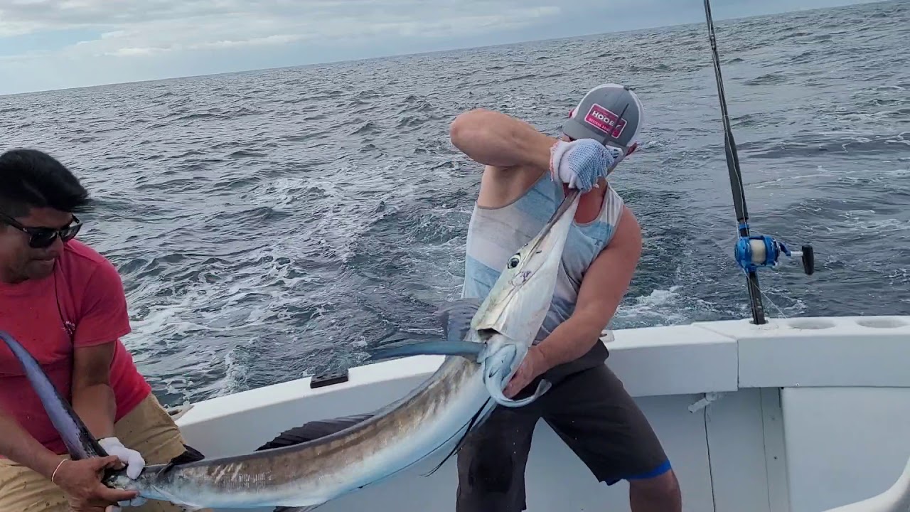 Marlin fishing in Puerto Vallarta Mexico