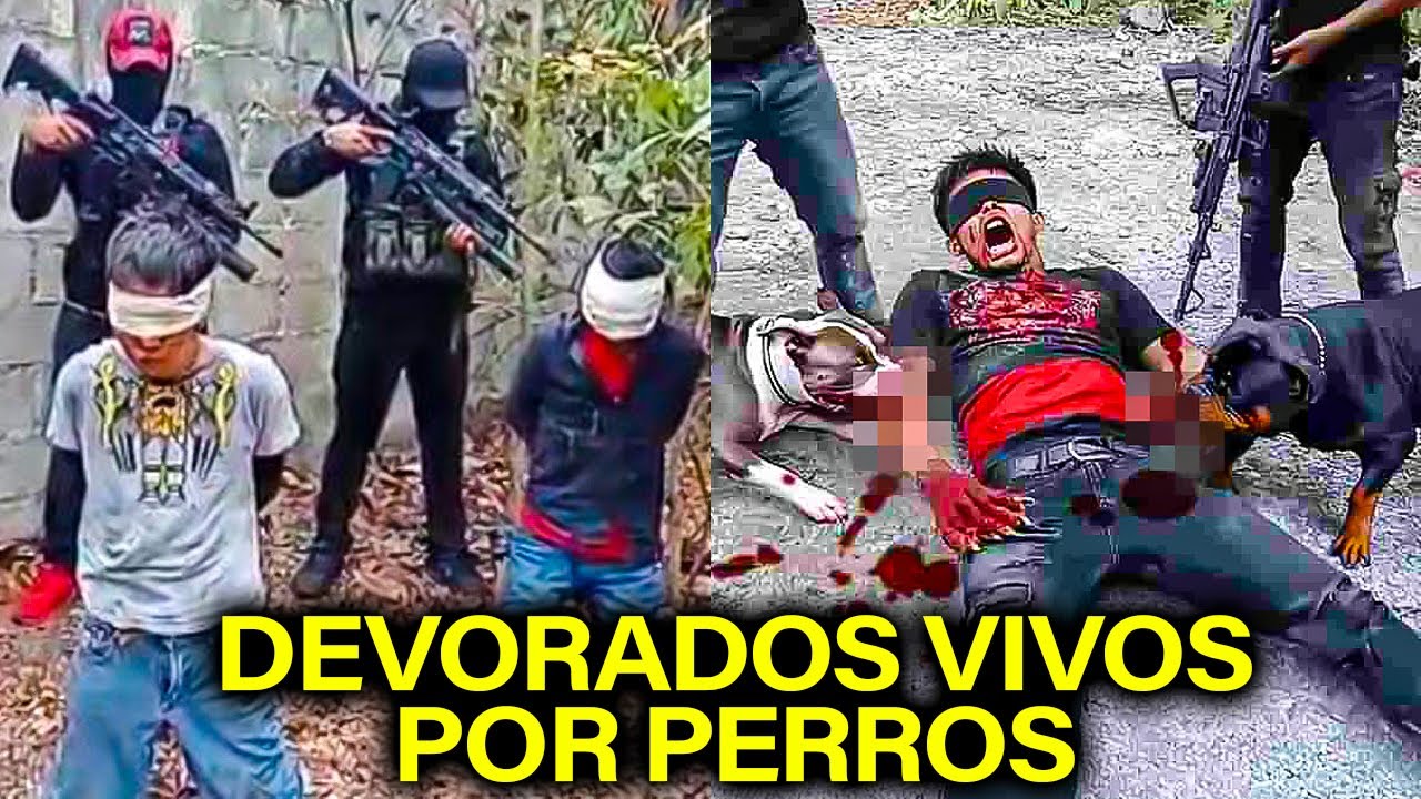 Los M&eacute;todos De Tortura M&aacute;s Brutales De Los C&aacute;rteles Mexicanos