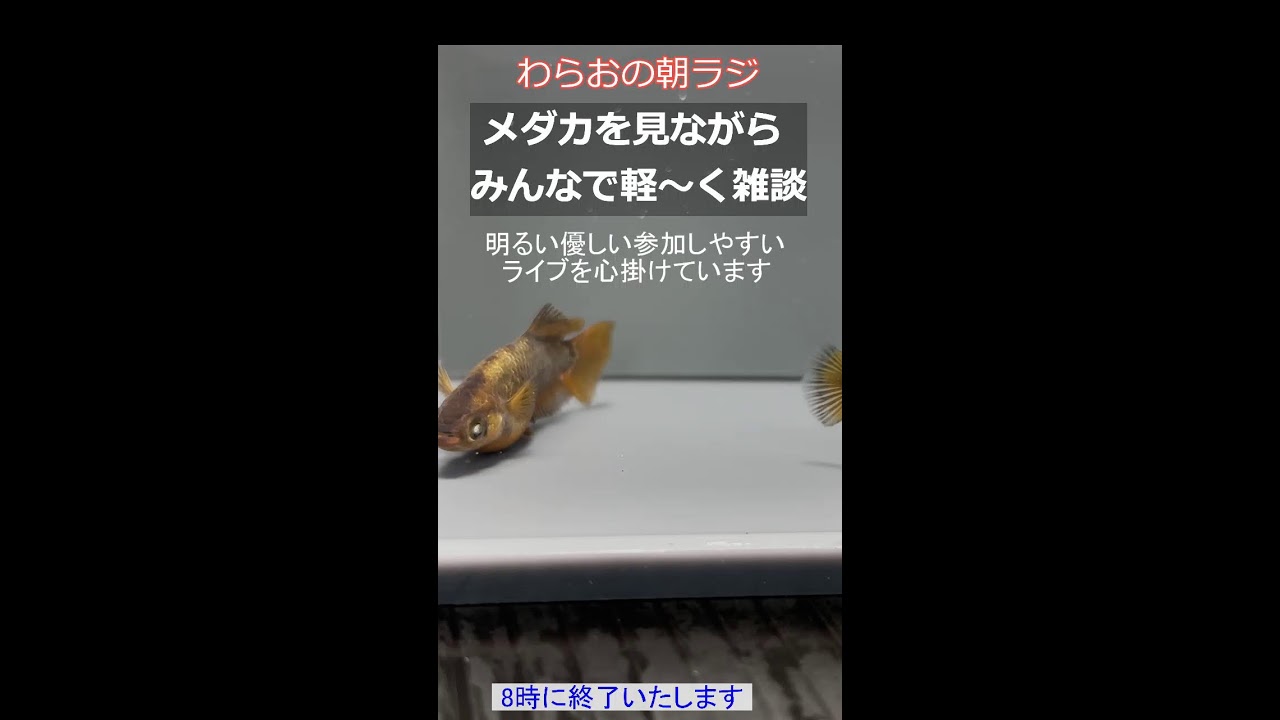 わらおの朝ラジ
