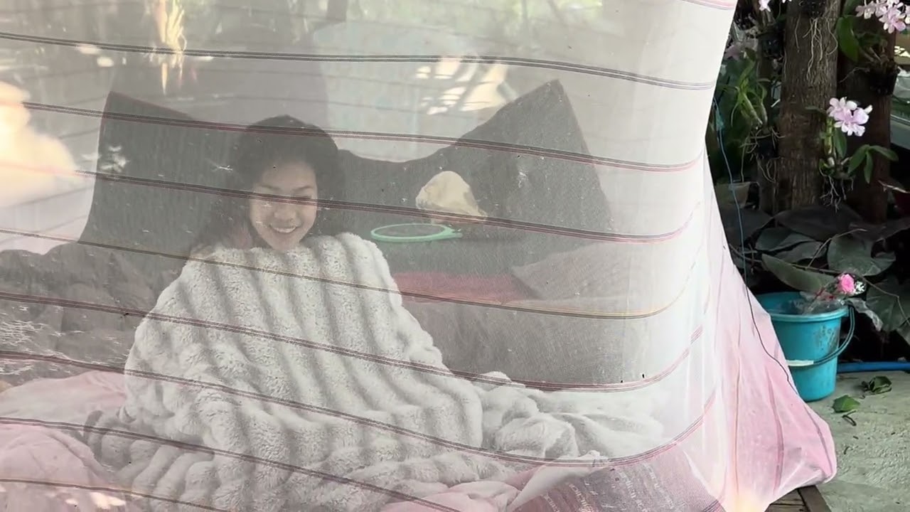 เป็นตาอยากหัว ยายสะมาเหลือโตนครูแท้น้อมื้อนี้ ธิดาลาว
