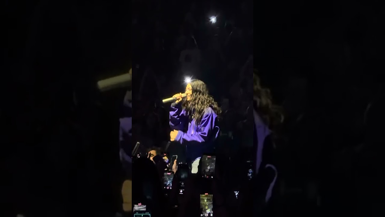Lorde - A World Alone (Live at MSG)