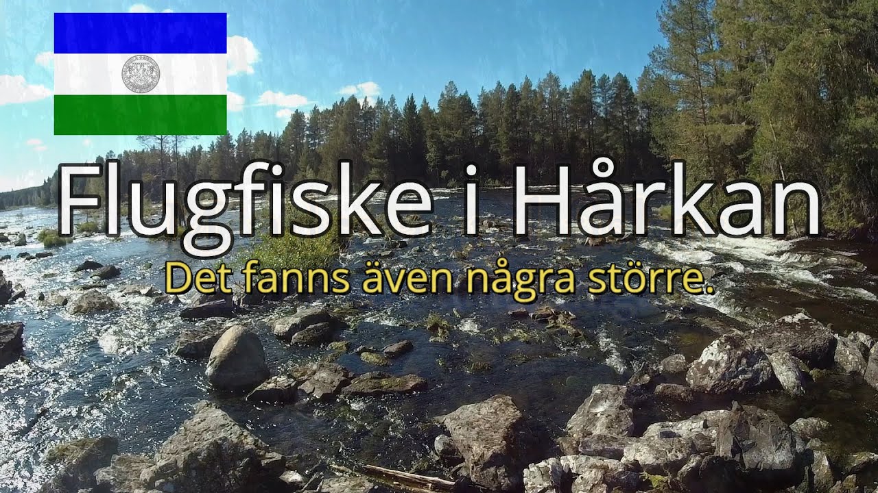 Flugfiske efter Stor Harr i Hårkan (eftermiddagen)
