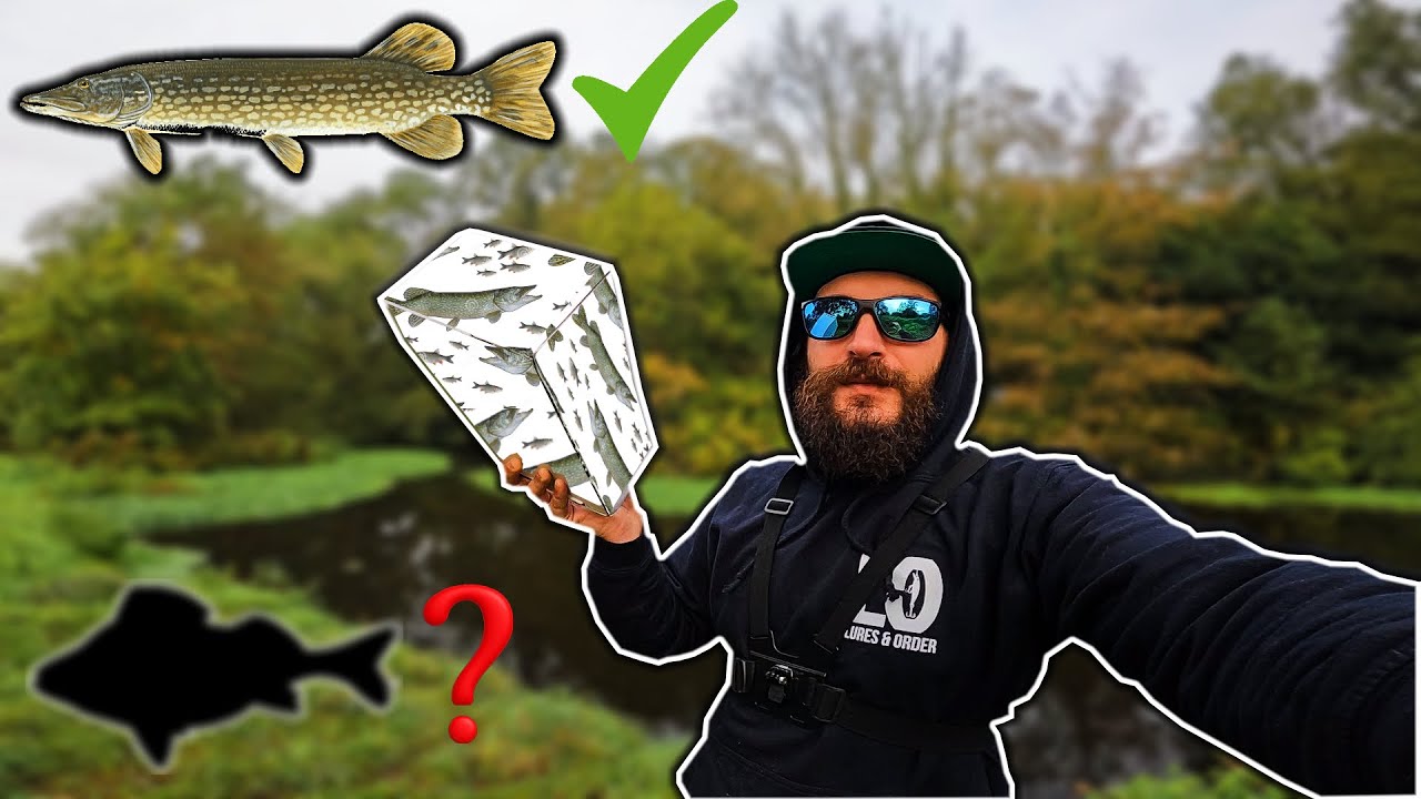 This PIKE LURE Box Came In With a SURPRISING CATCH!!