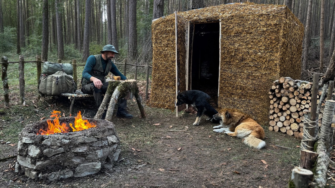 Building a Warm Leaf Shelter | Secret Primitive Bushcraft in the Autumn Forest