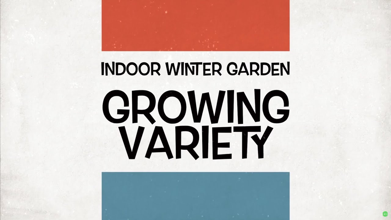 Indoor Winter Garden. Growing a variety of vegetables indoors. And today is my channel birthday !!!!