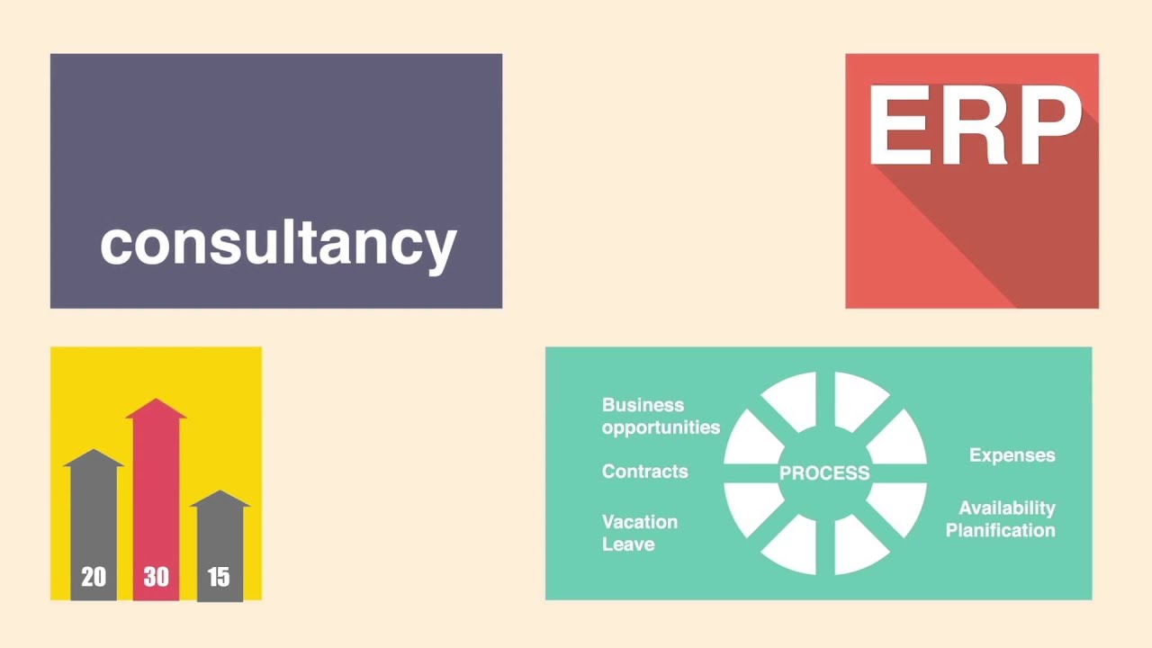 Online project based ERP for professional services automation