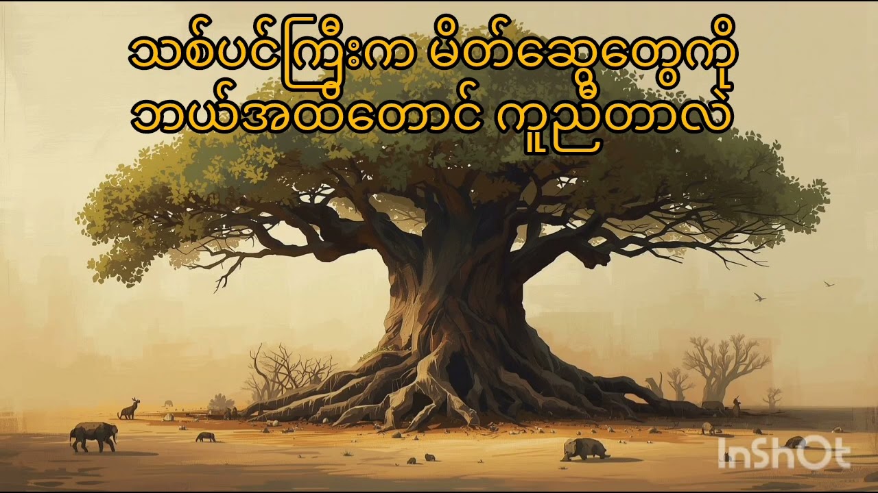 ​ကောင်းကင်ကိုမိုး​ပေးတဲ့သစ်ပင်ကြီးအ​ကြောင်းပုံပြင်​လေးပါ။ သစ်ပင်ကြီးကမိတ်​ဆွေ​တွေကိုဘယ်အထိ​ကူညီတာလဲ